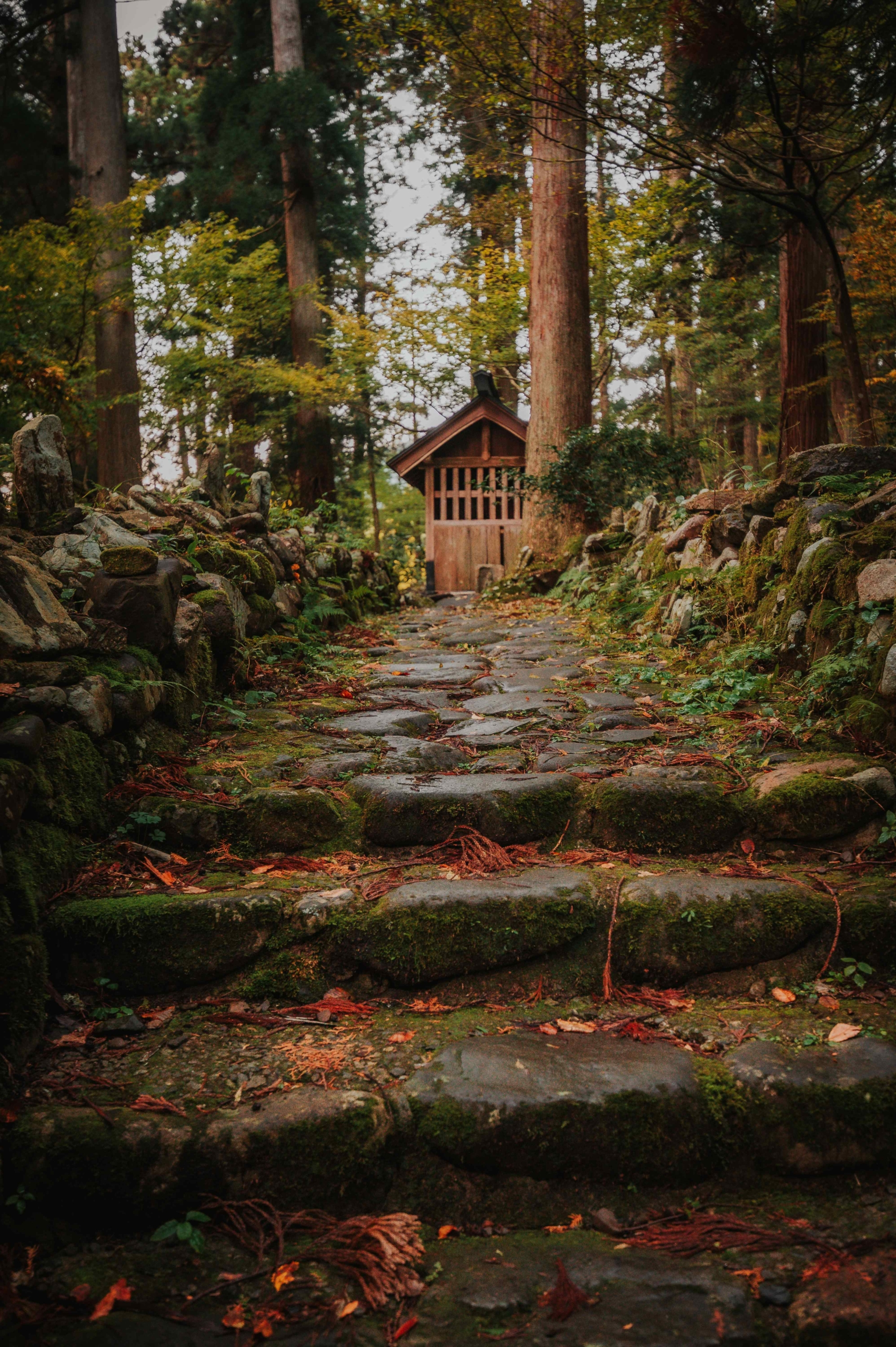 The Heisenji Hakusan Jinja Shrine - Fukui Prefecture