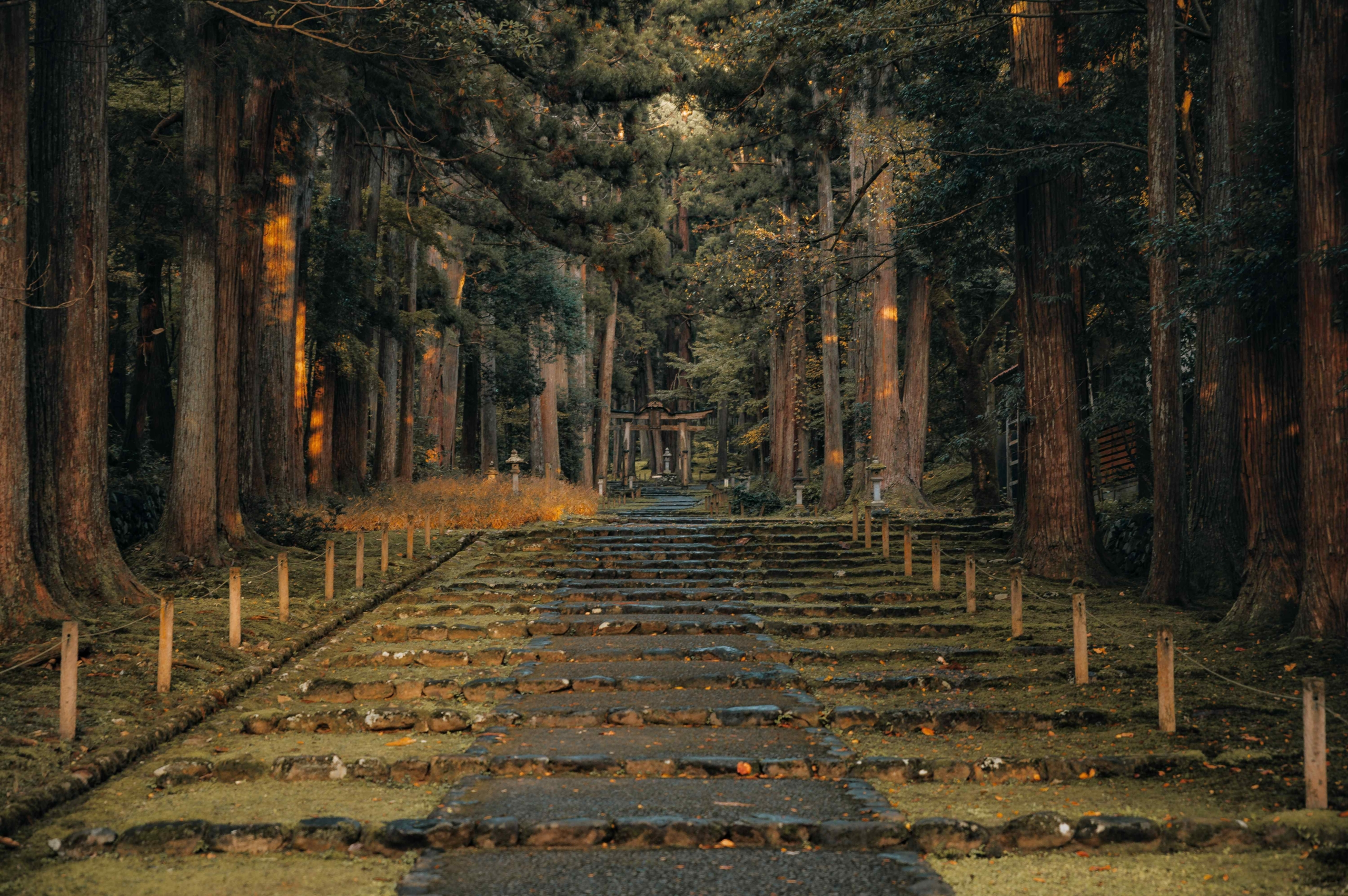 The Heisenji Hakusan Jinja Shrine - Fukui Prefecture