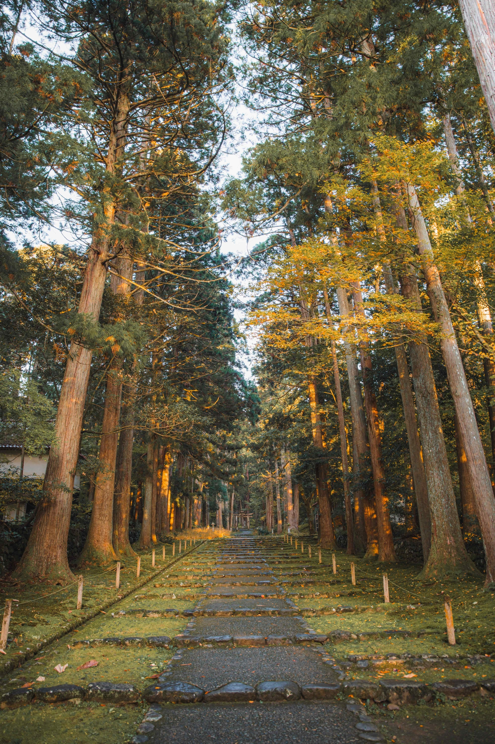 The Heisenji Hakusan Jinja Shrine - Fukui Prefecture