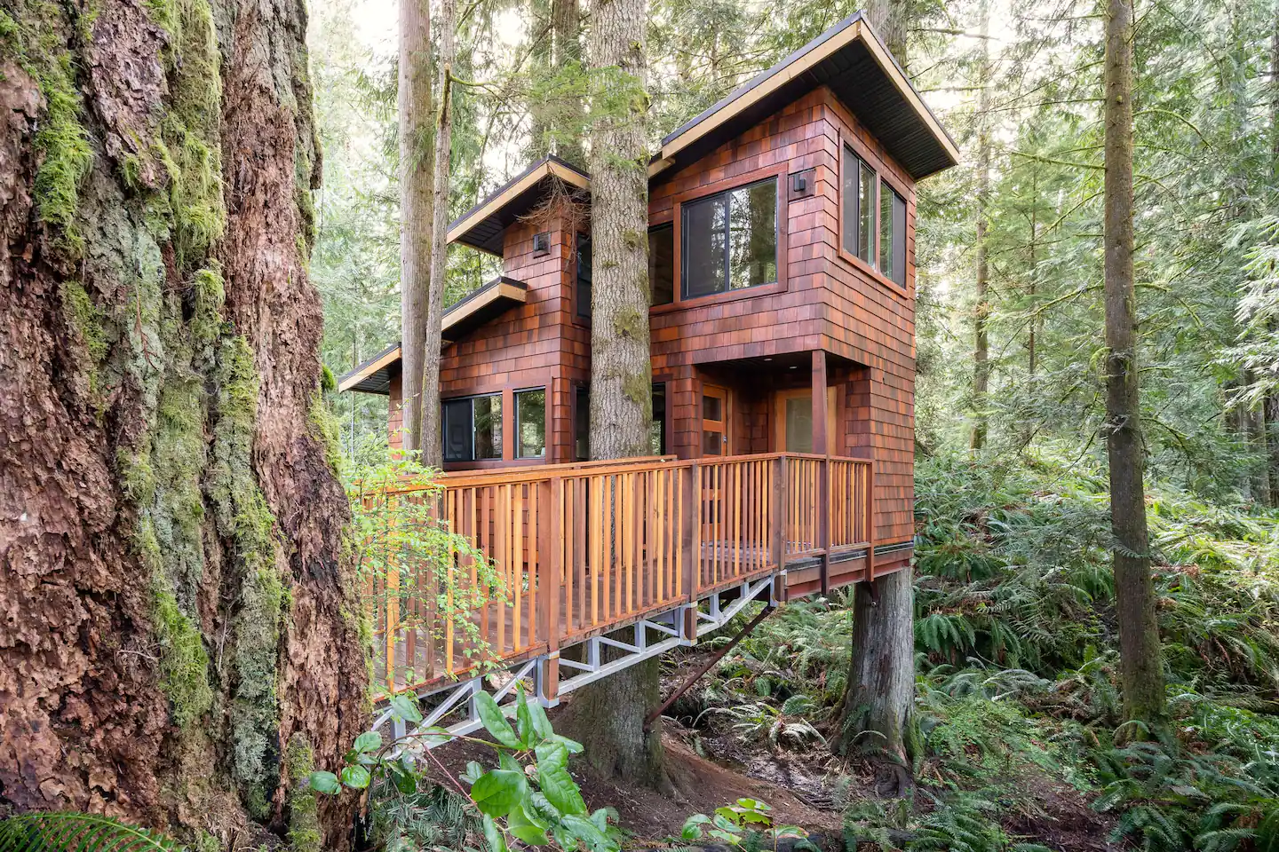 East Sooke Tree House Glamping BC