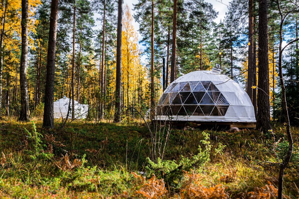 Igloo Glamping Finland Lakeland Site