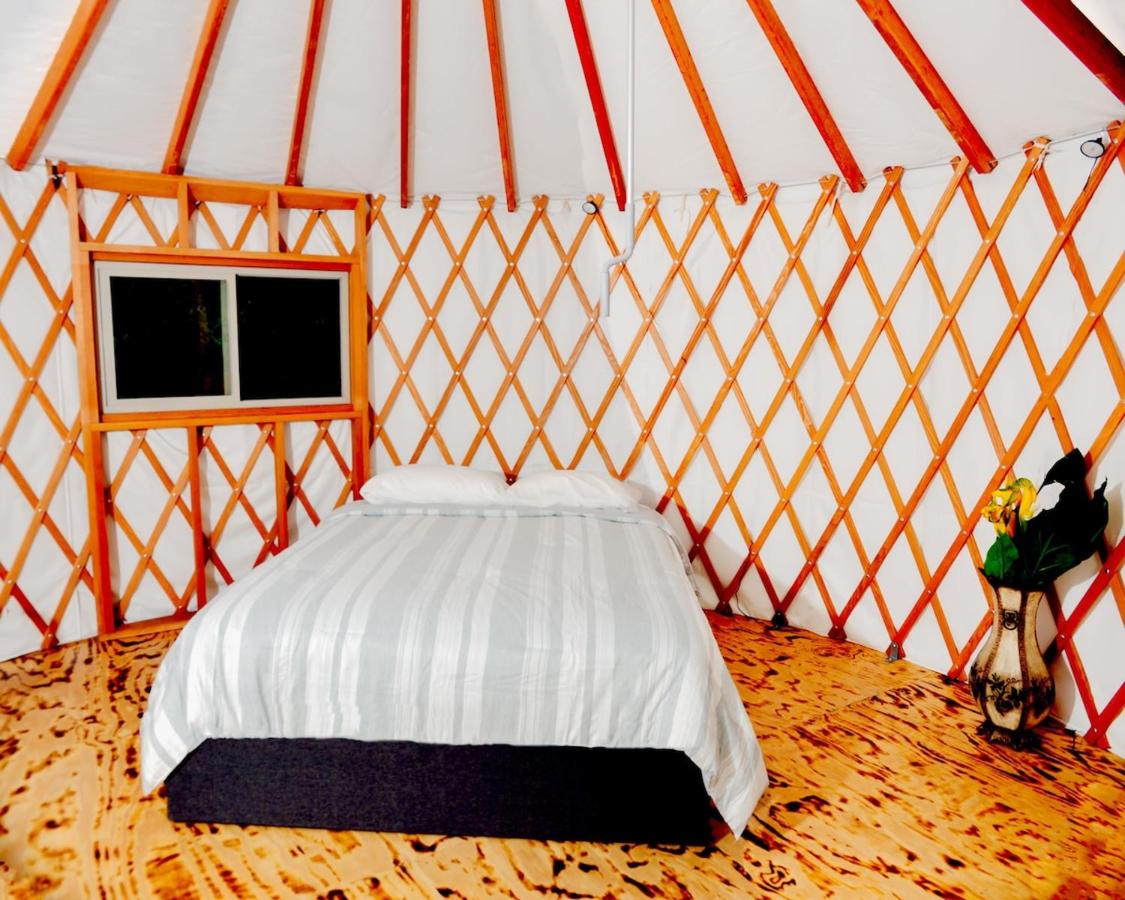 Roan Mountain Glamping Yurt