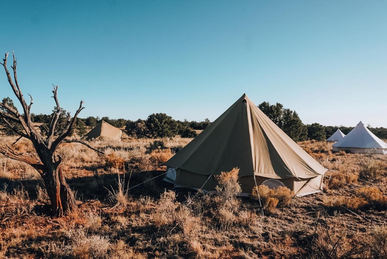 Wander Camp - GLamping in Arizona