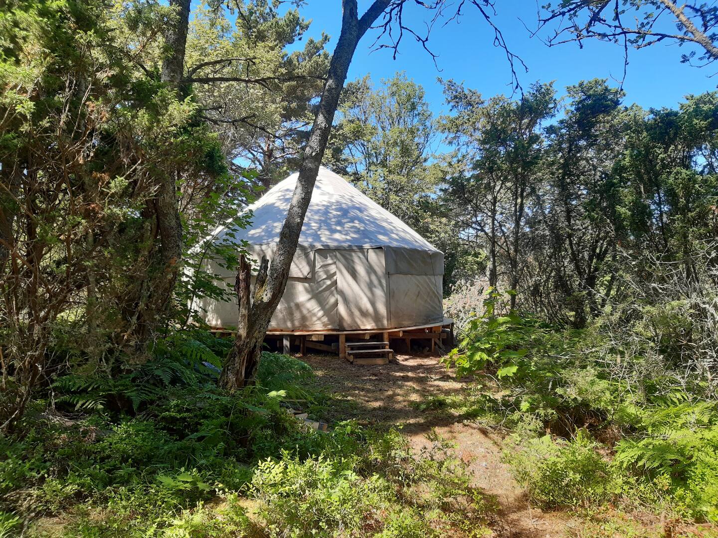 Yurt Glamping in Finland