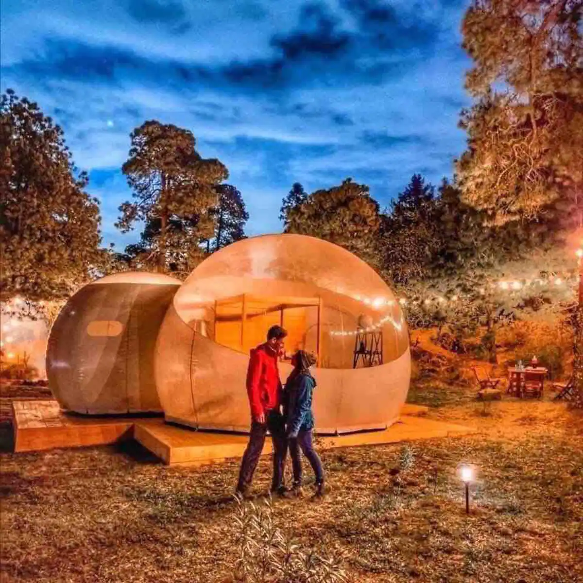 Alpino Bubble Glamping Mexico Airbnb