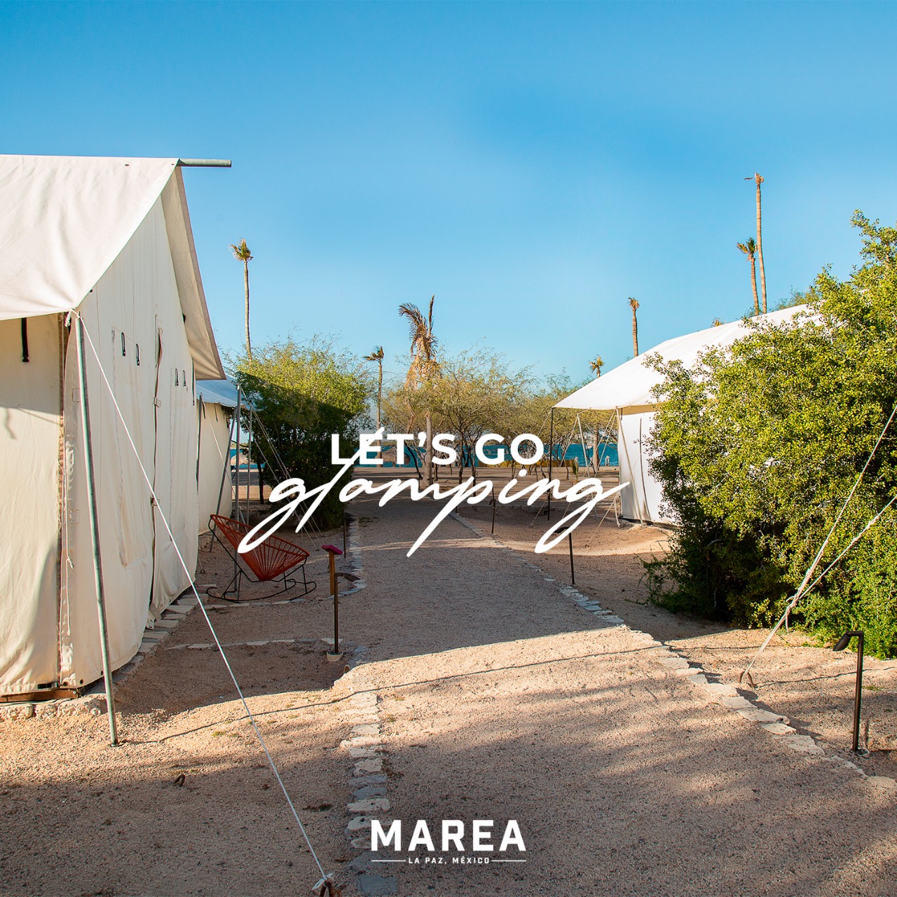 Marea La Paz Glamping Mexico