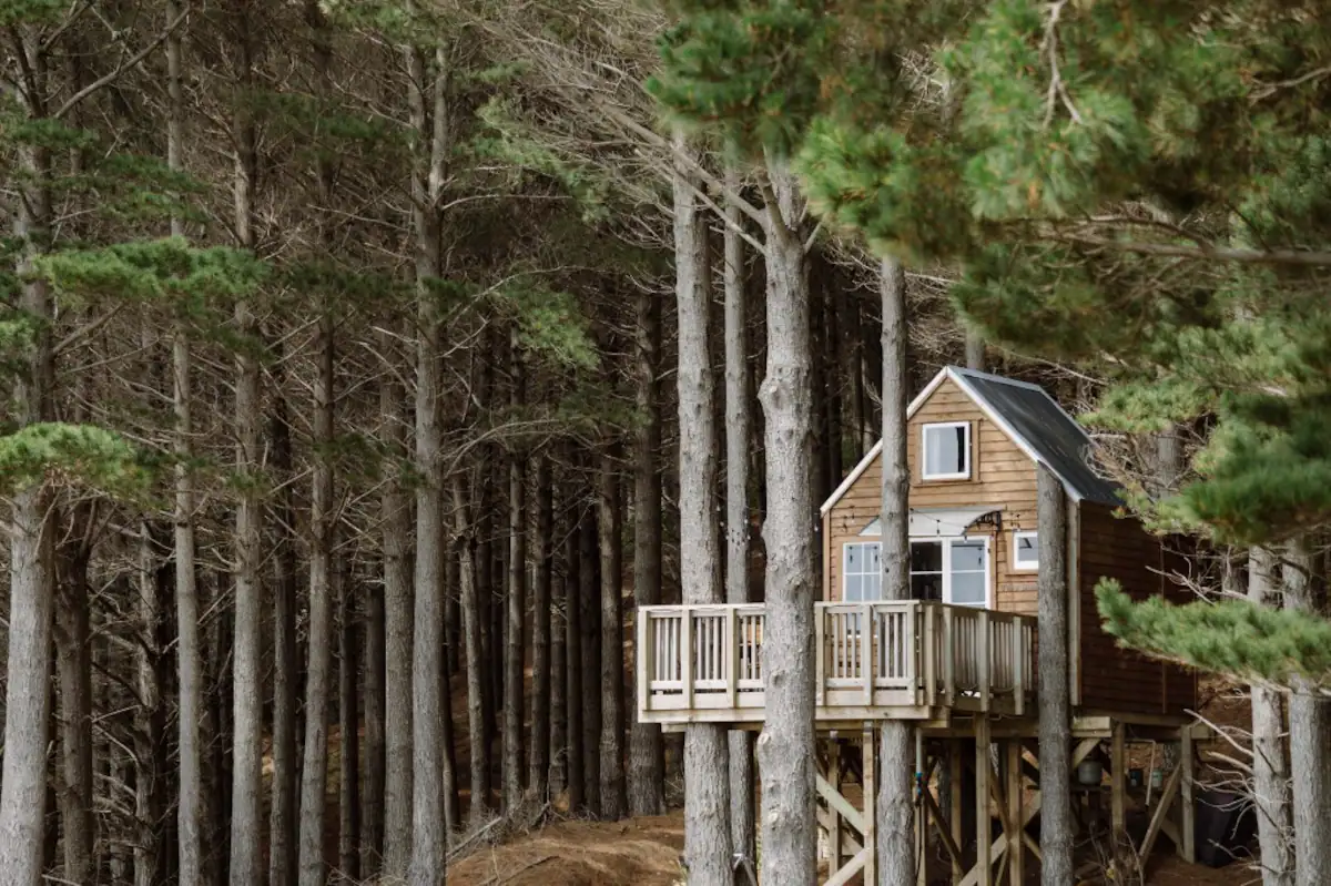 Raglan Treehouse Glamping in New Zealand