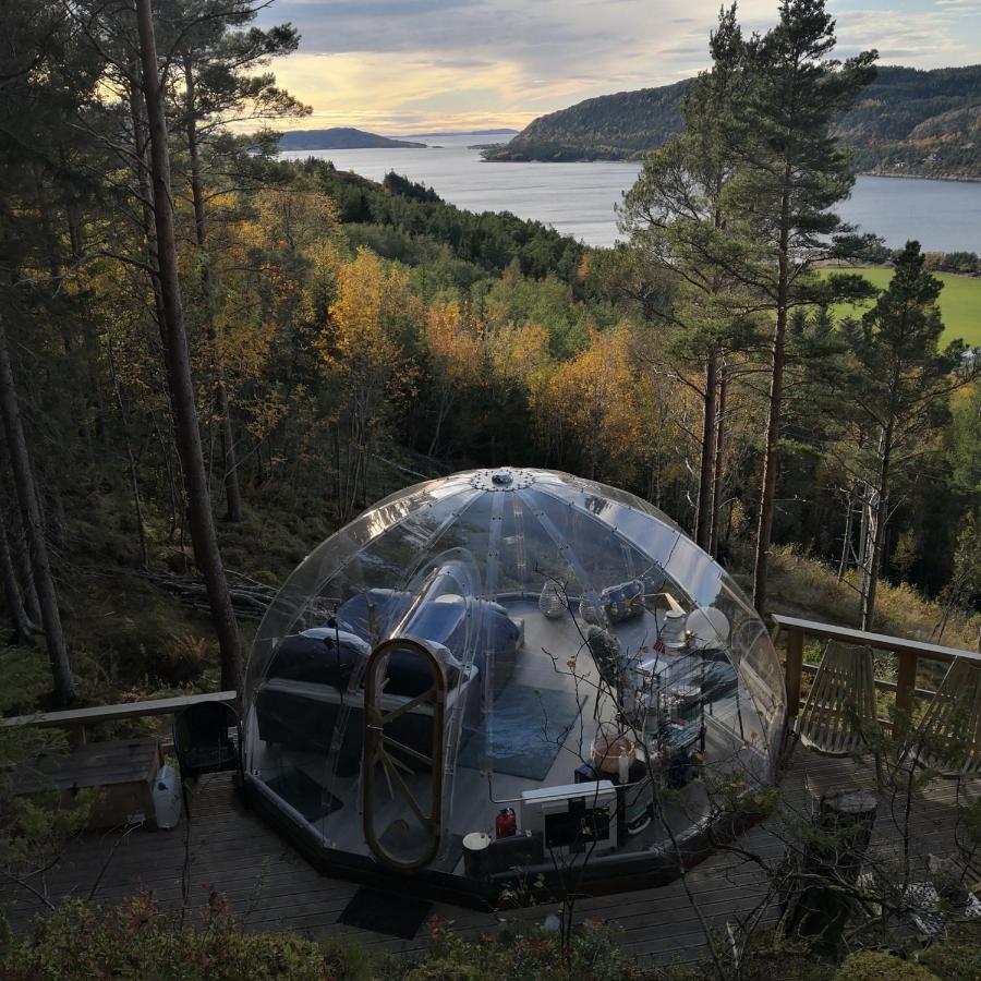 Sørfjorden Eye Igloo - Glamping Norway