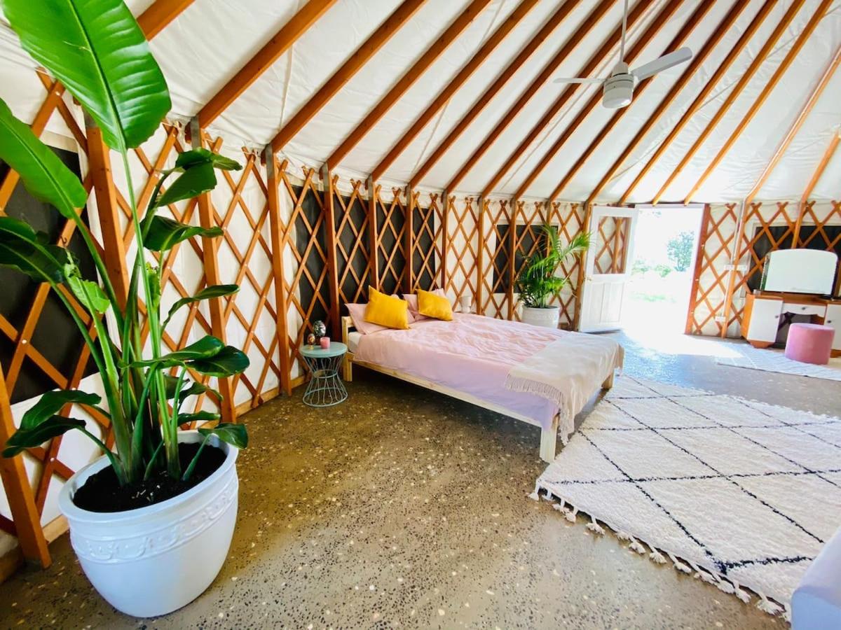 Byron Bay Hinterland Luxury Ivory Yurt