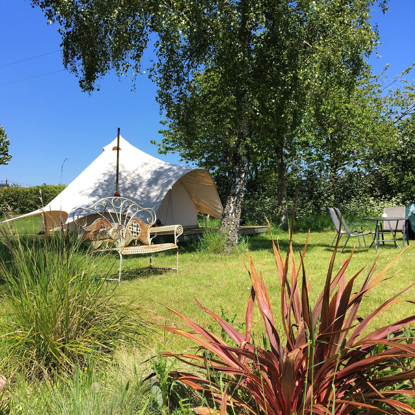 Firs Glamping in Suffolk