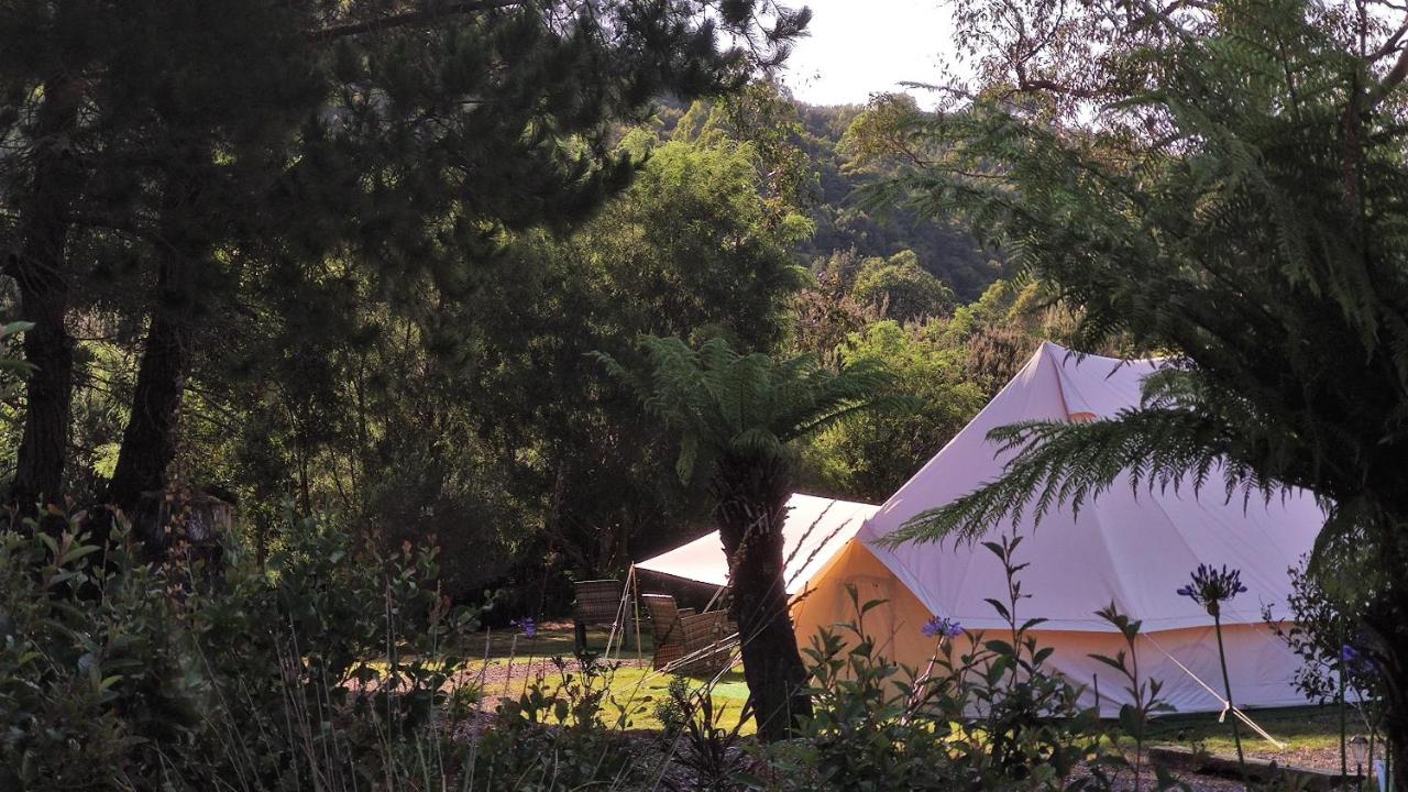 Glamping at Zeehan Bush Camp