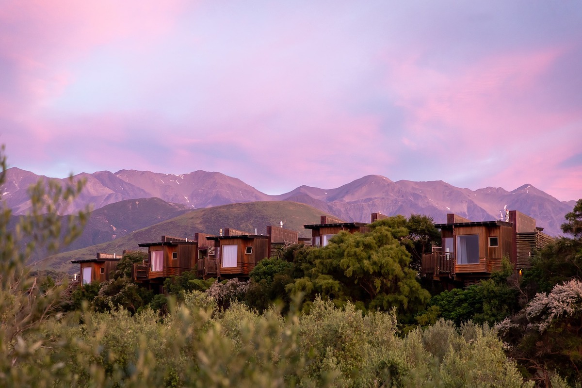 Hapuku Lodge and Treehouse