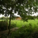 Hidden Meadow Suffolk Glamping