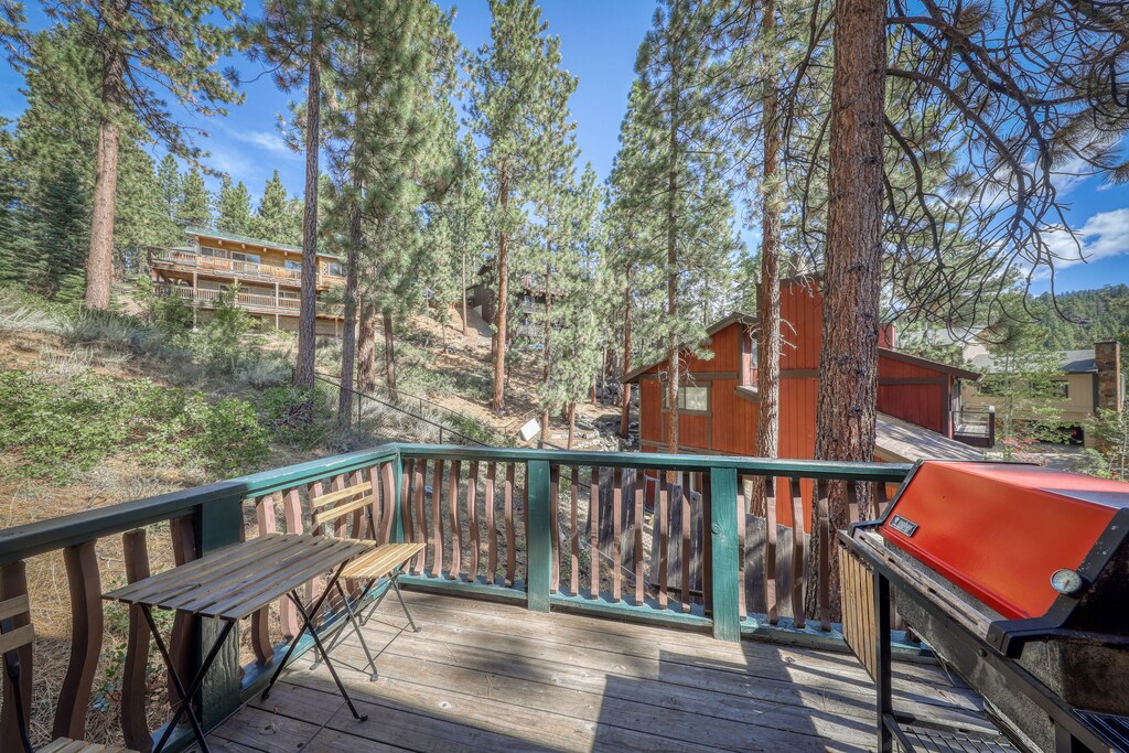 Modern cabin with a gas fireplace, spacious deck, & beautiful forest views