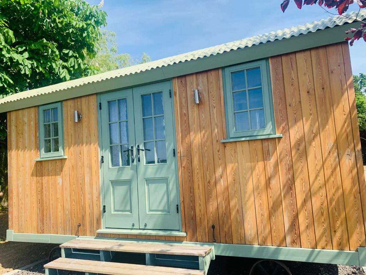 The Dragonfly Shepherds Hut - Glamping London