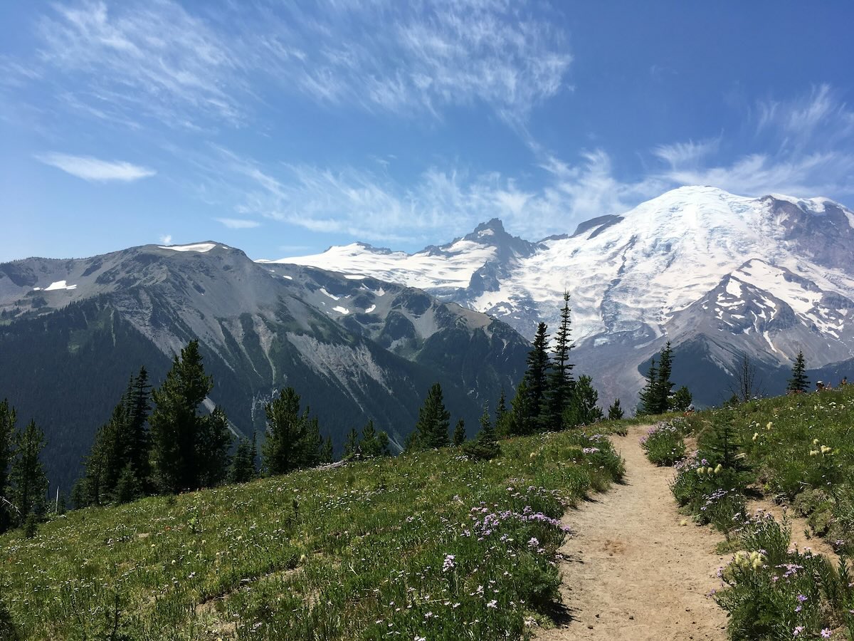 Mt Rainier