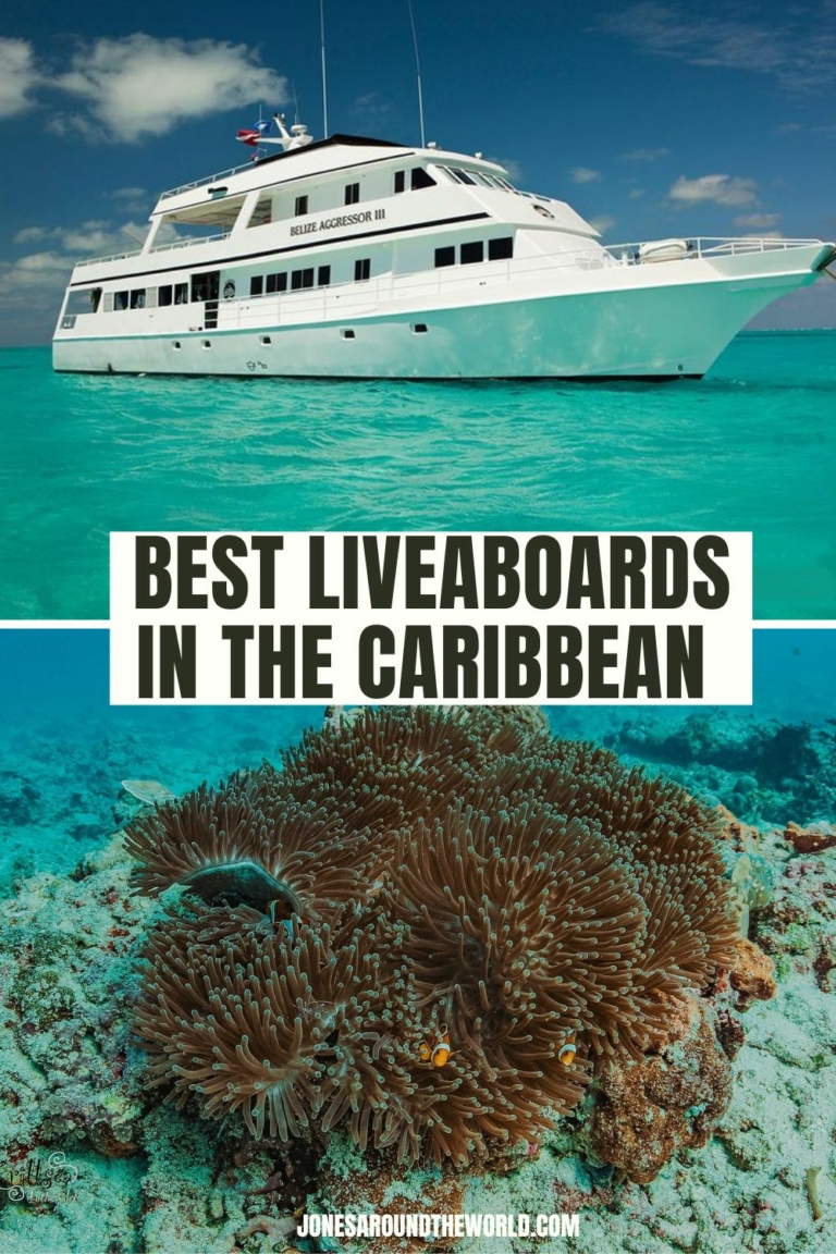 15 Best Liveaboards in the Caribbean EPIC ScubaDiving Trips