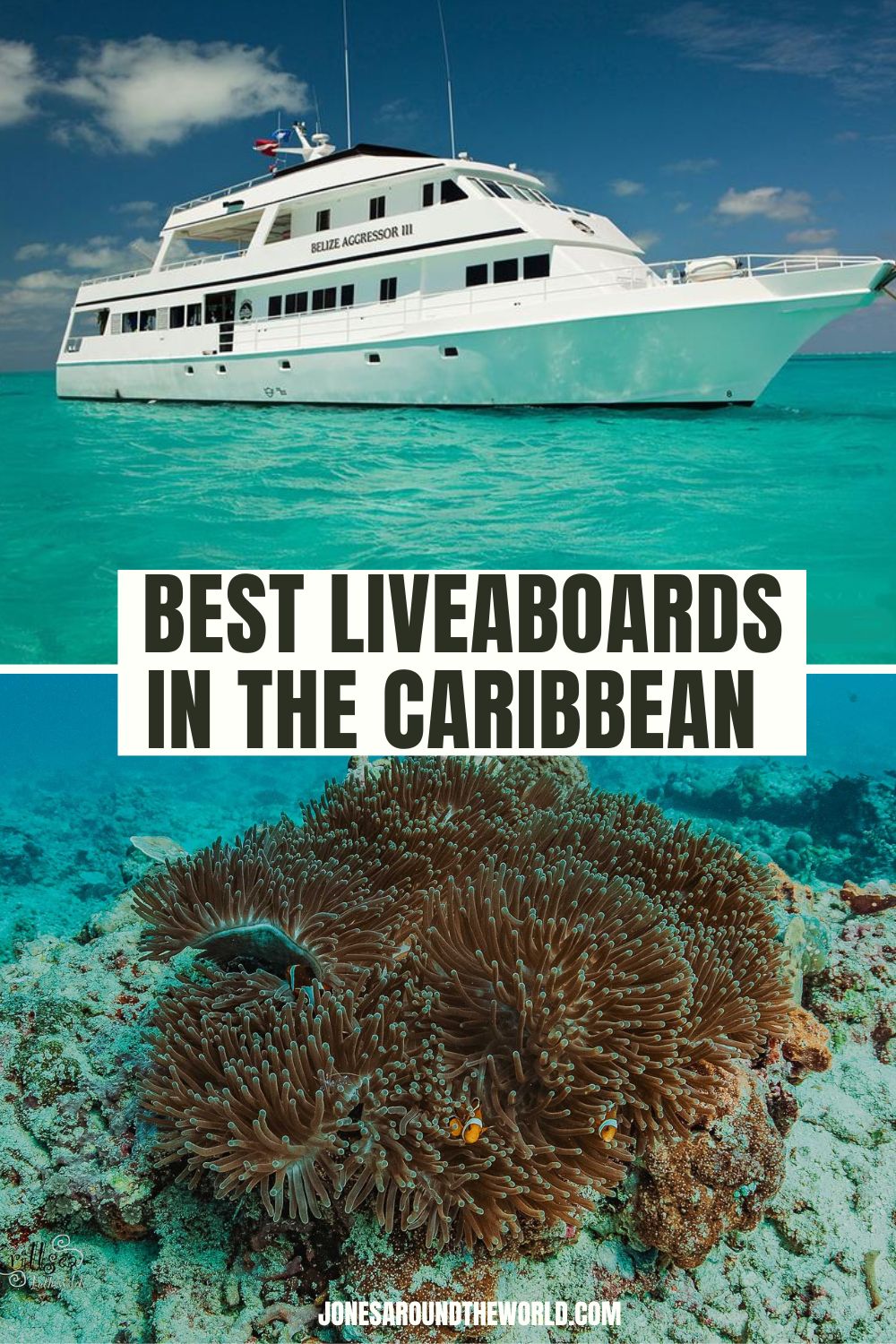 15 Best Liveaboards in the Caribbean EPIC ScubaDiving Trips
