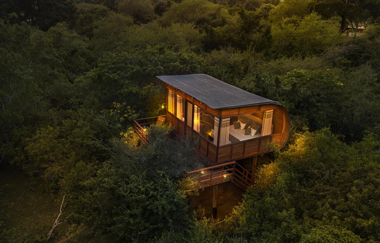 Leopard Nest - Glamping in Yala