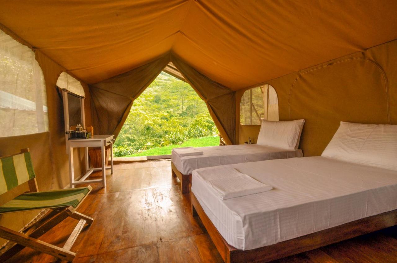 Wild Glamping Knuckles - Sri Lanka Glamping Hotel