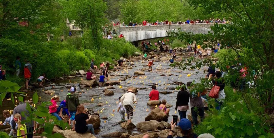 Wildquack Duck Race & Music Festival New Hampshire