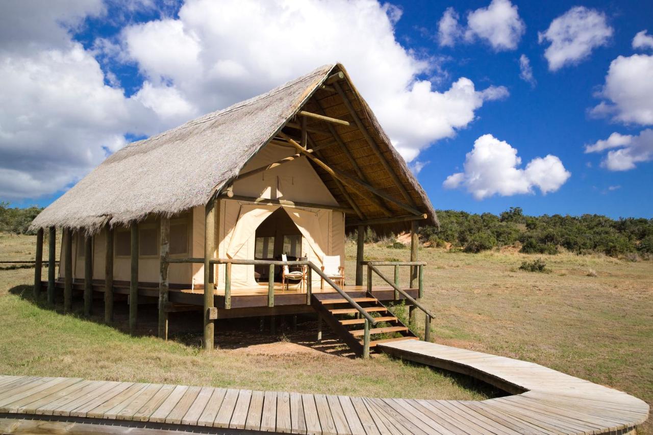 Gorah Elephant Camp - Glamping in South Africa