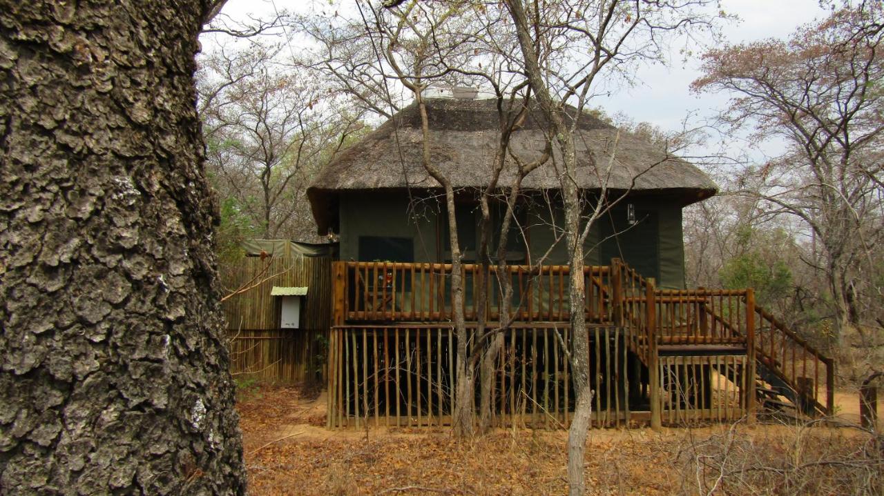 Honeyguide Ranger Camp - South Africa Glamping