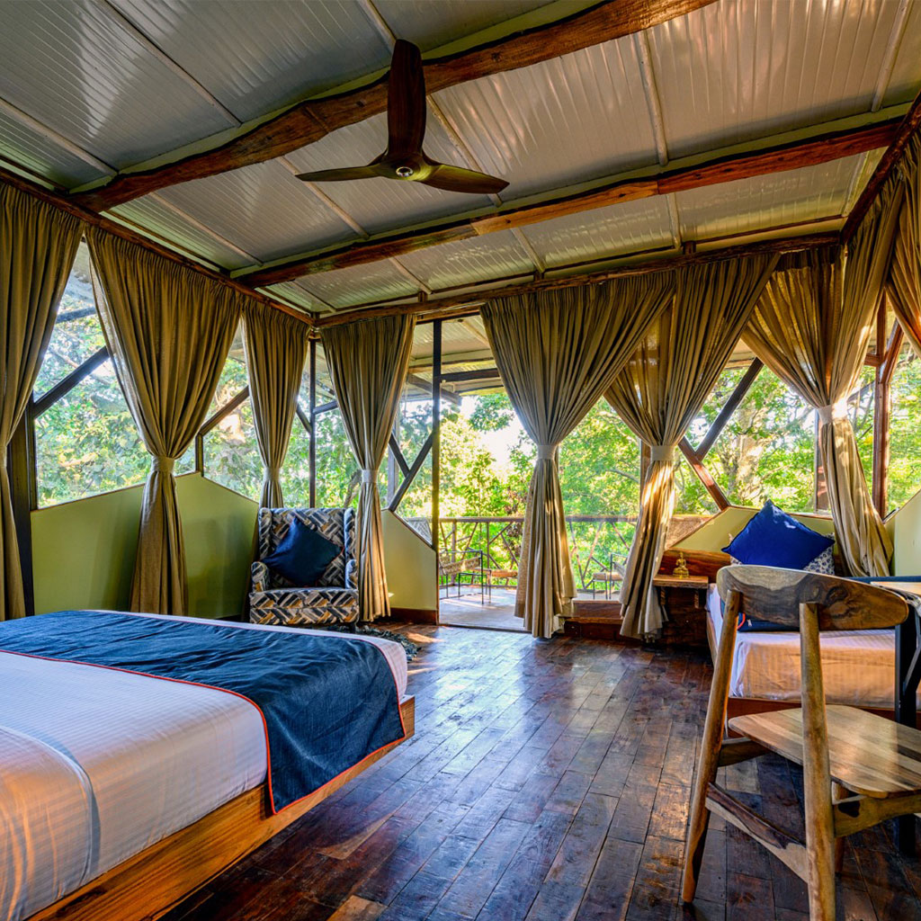 Jungle Camp Glamping 