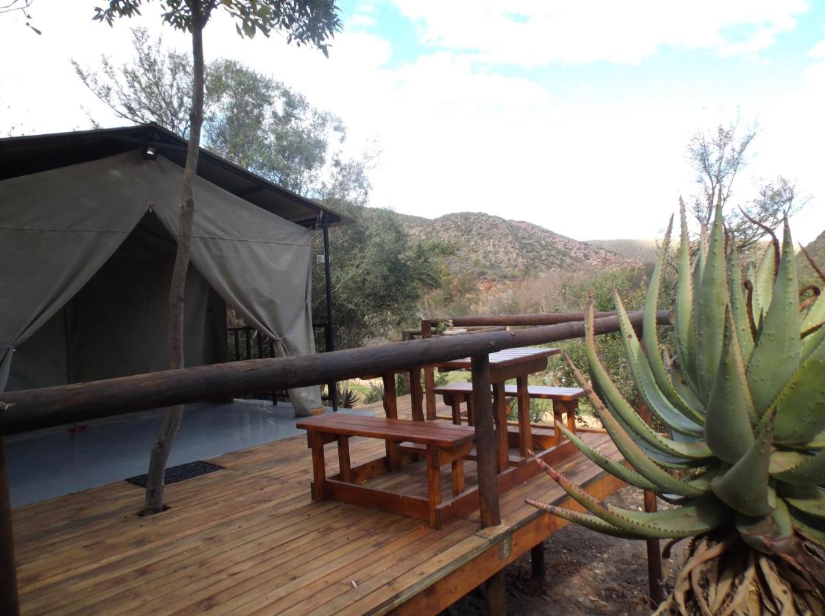 Old Mill Lodge - Glamping in South Africa