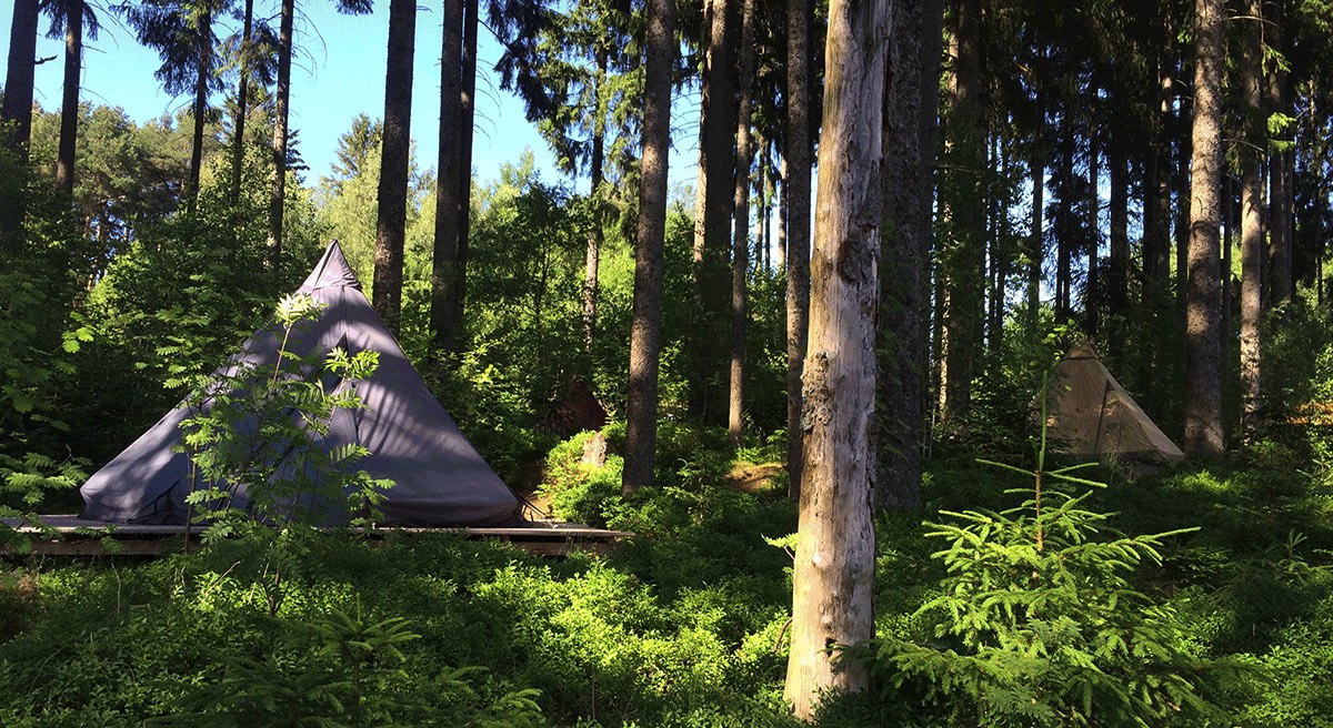 Schwarzwaldcamp - Glamping in Germany