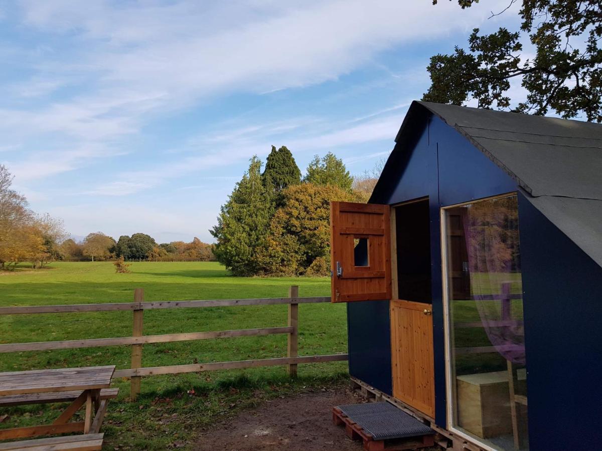 Bell Tent Glamping at Royal Victoria Country Park - New Forest