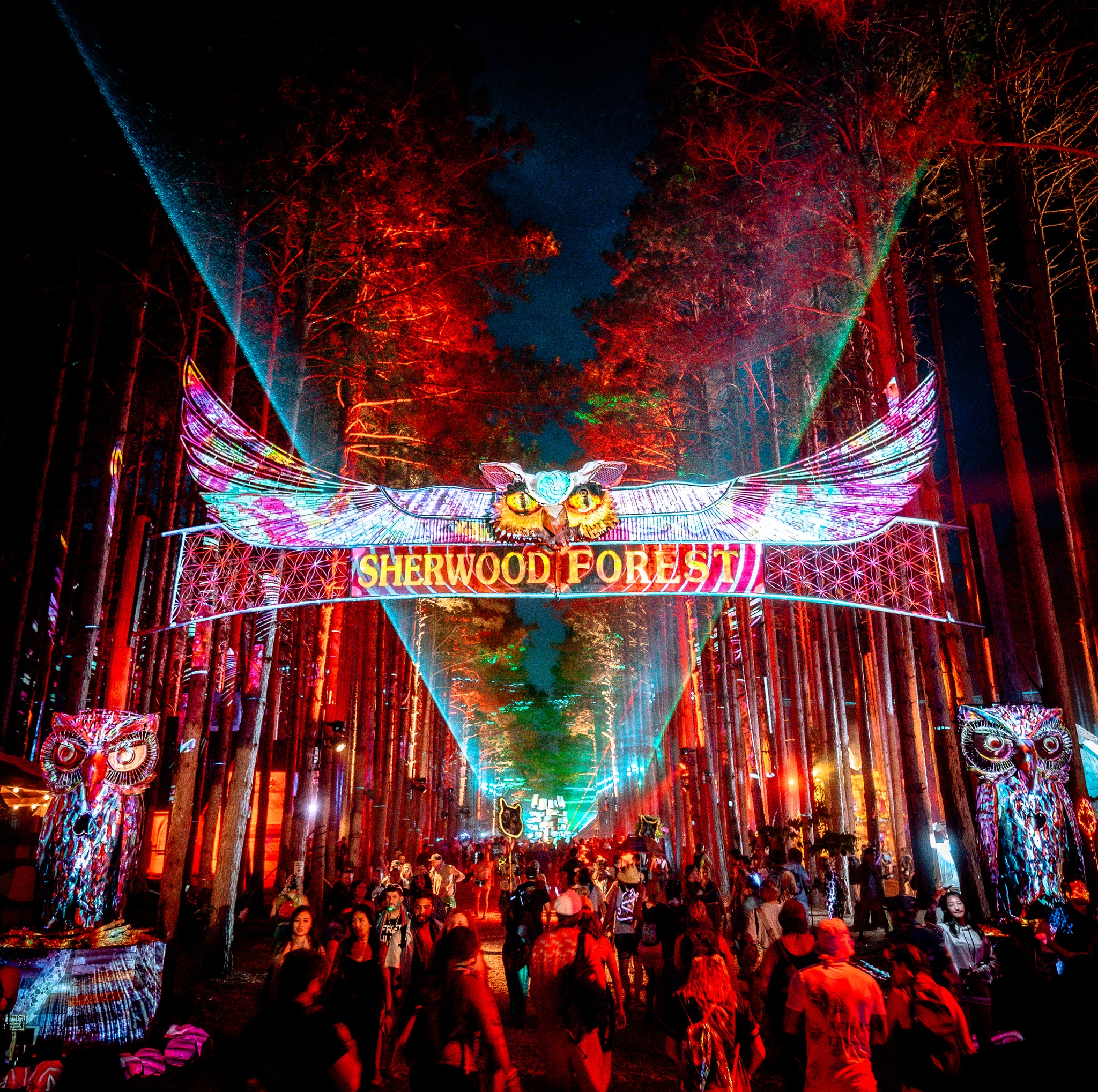Electric Forest - Festivals Like Burning Man