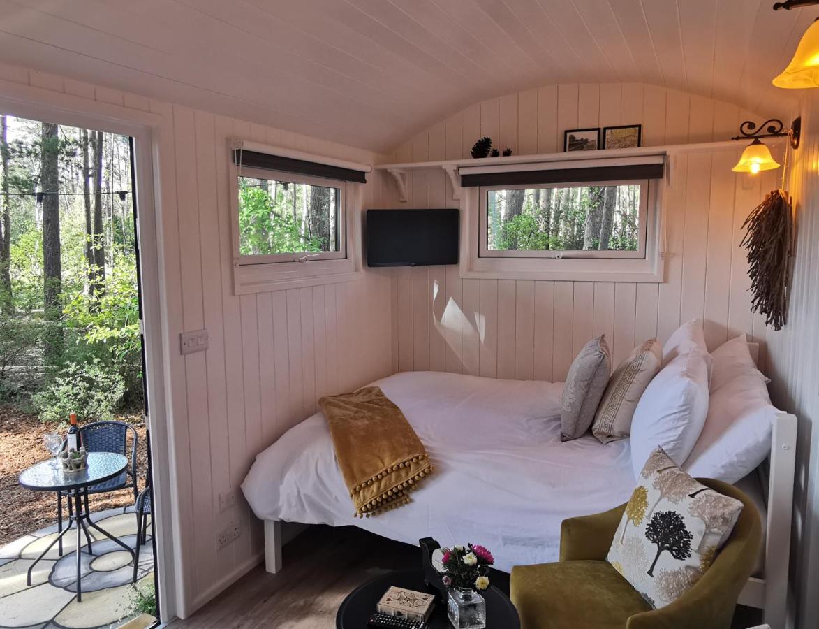 Forest Heath Shepherd's Hut - New Forest