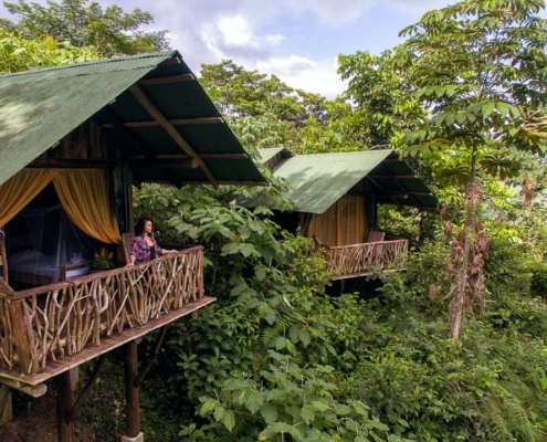 La Tigra Rainforest Lodge - Glamping Costa Rica