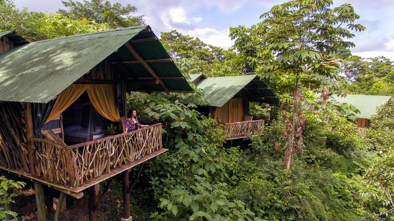 La Tigra Rainforest Lodge - Glamping Costa Rica
