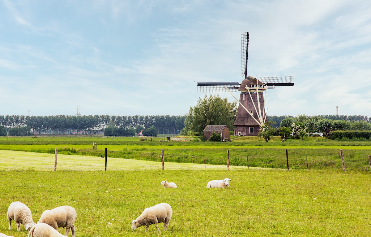 Netherlands Glamping