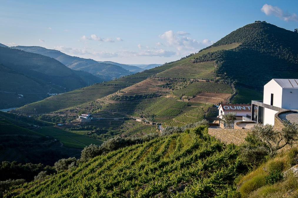 Quinta da Côrte - WIne Hotels in Portugal