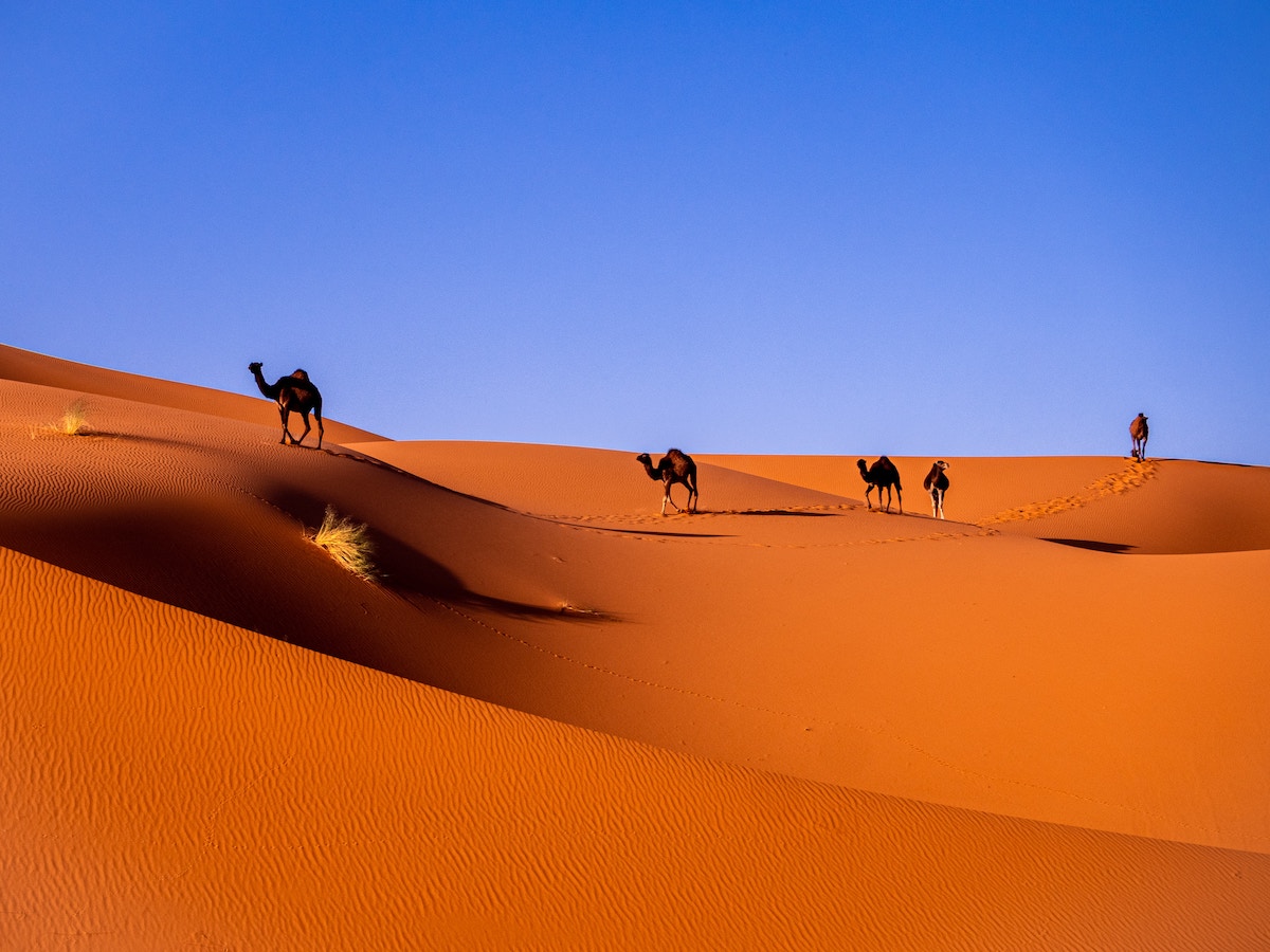 Sahara Desert