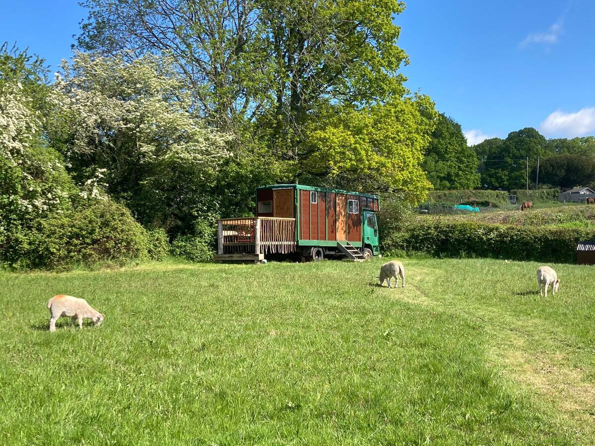 The Cow Field 1 - Luxury and Private Glamping