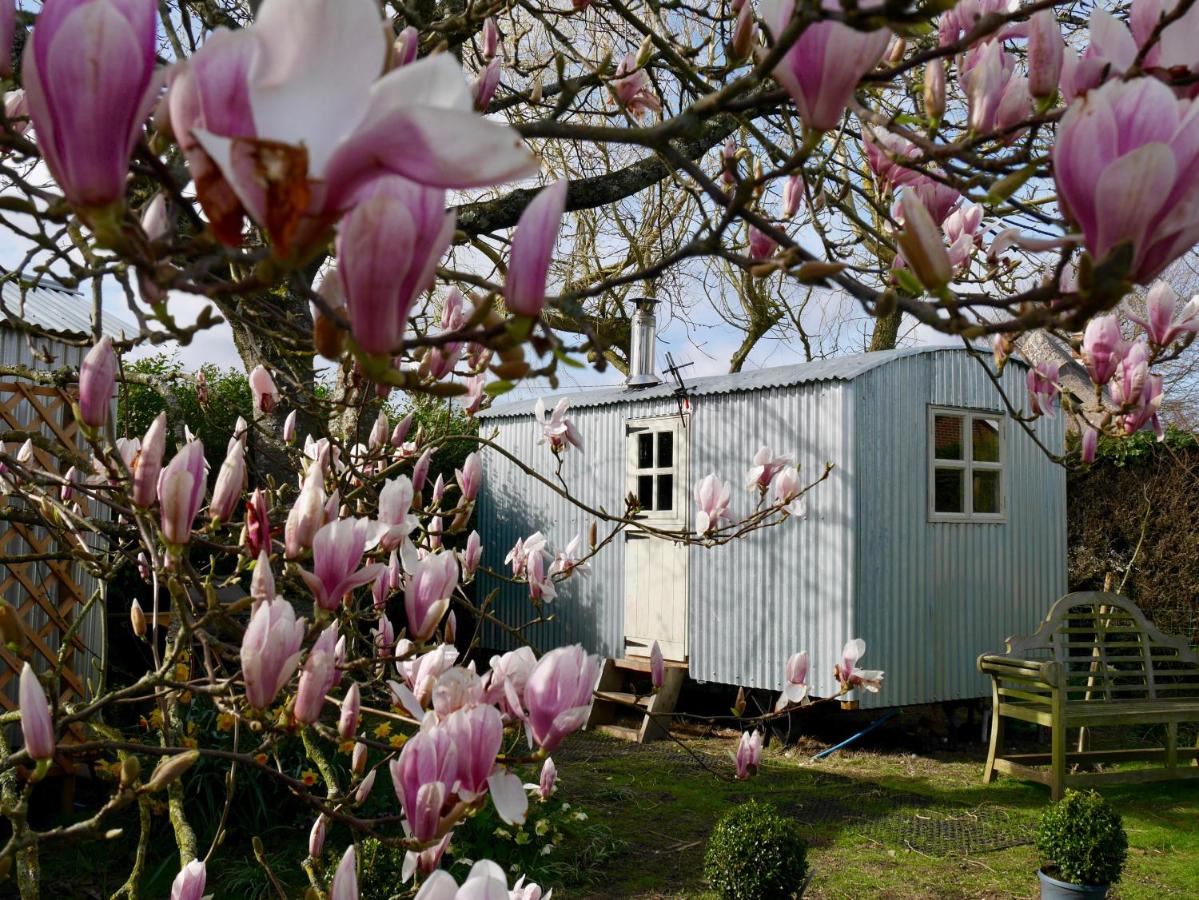 The Wayside Shepherd Hut - New Forest