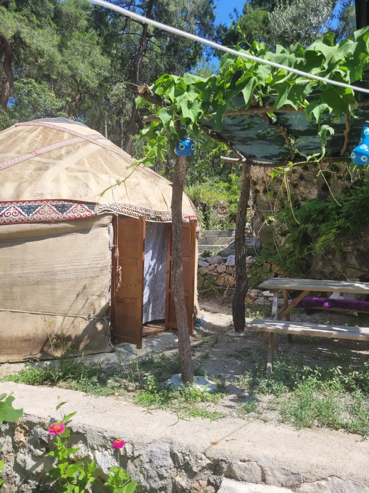 Authentic Yurt in the Heart of Nature - Turkey