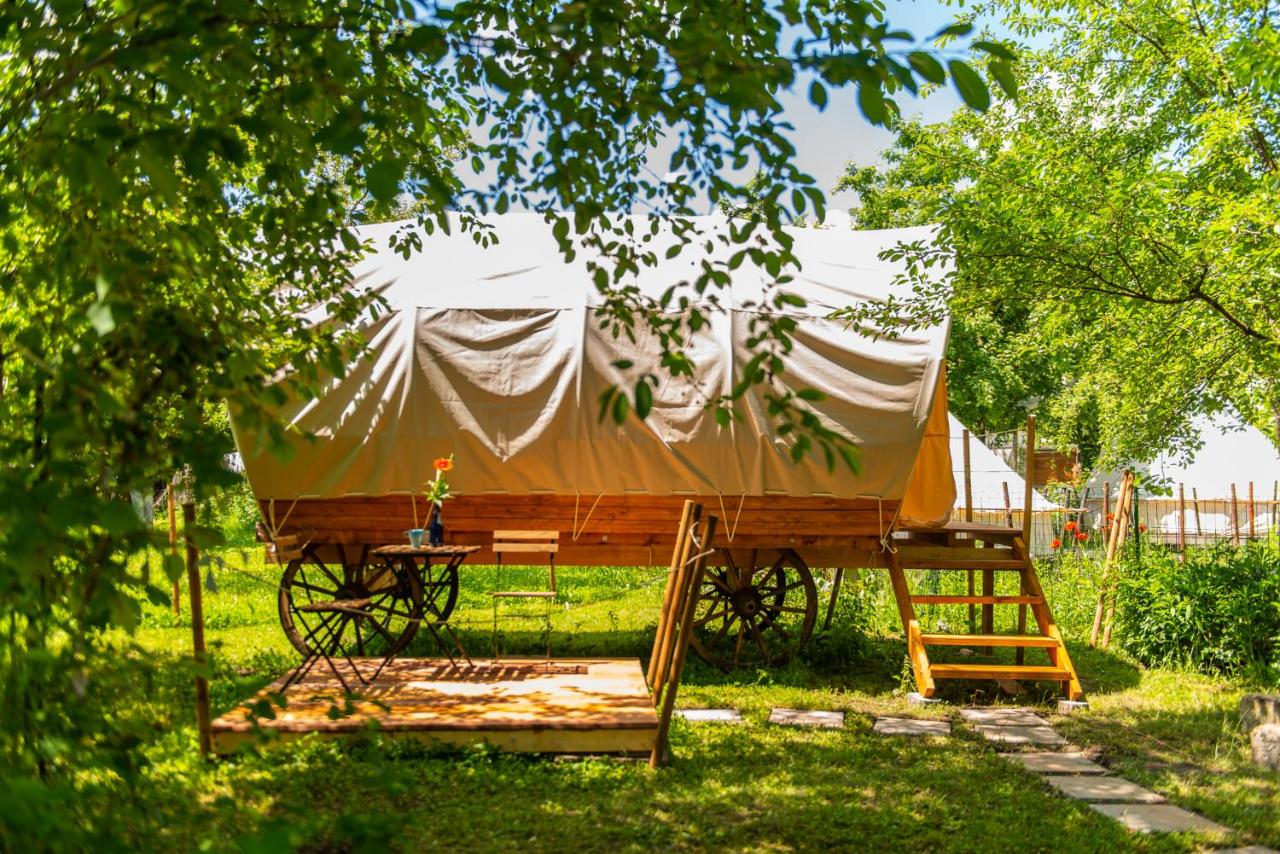 Dragonfly Gardens - The Wagons - Romania