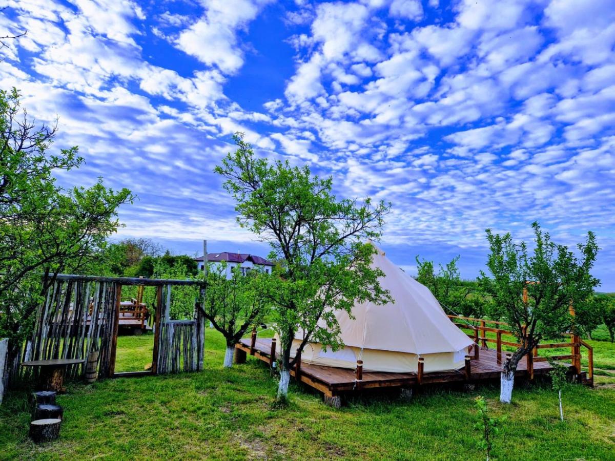 Glamping Livada Cu Lavanda - Romania