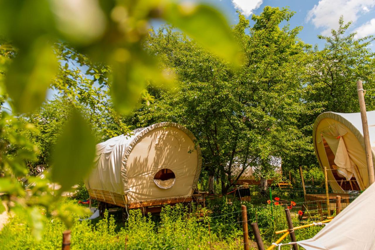 Glamping Romania - Dragonfly Gardens