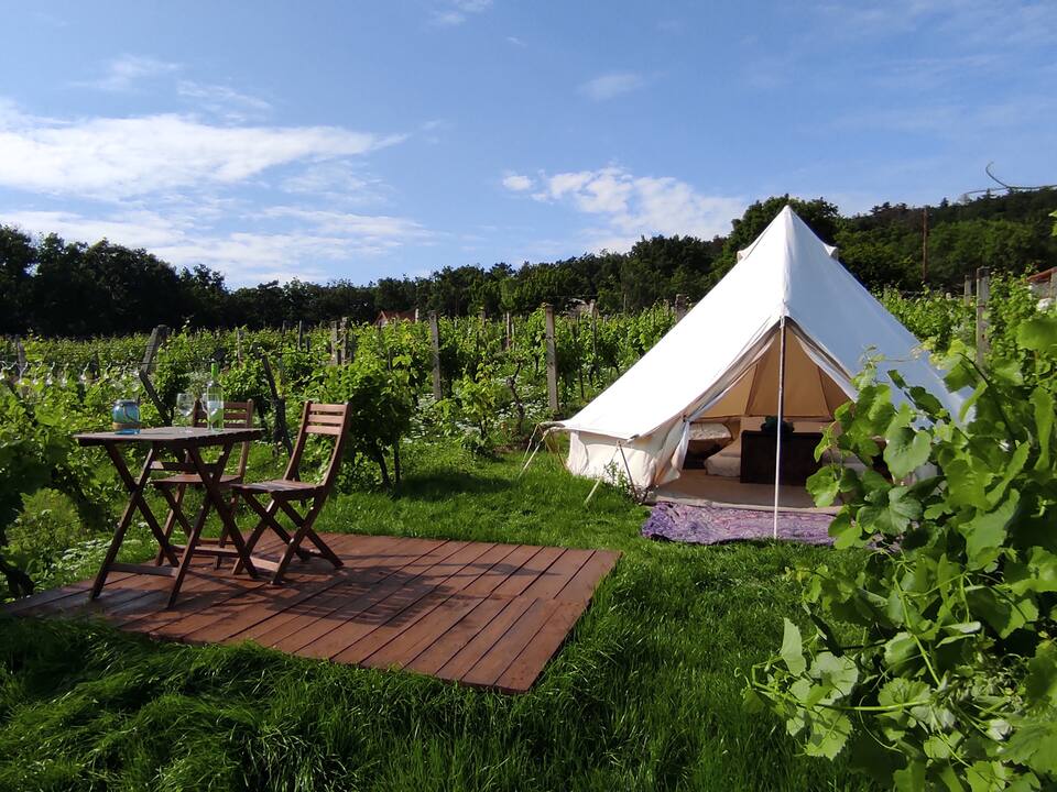 Glamping in the Vineyard - Hungary