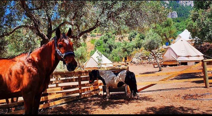 Kundalini Glamping - Turkey