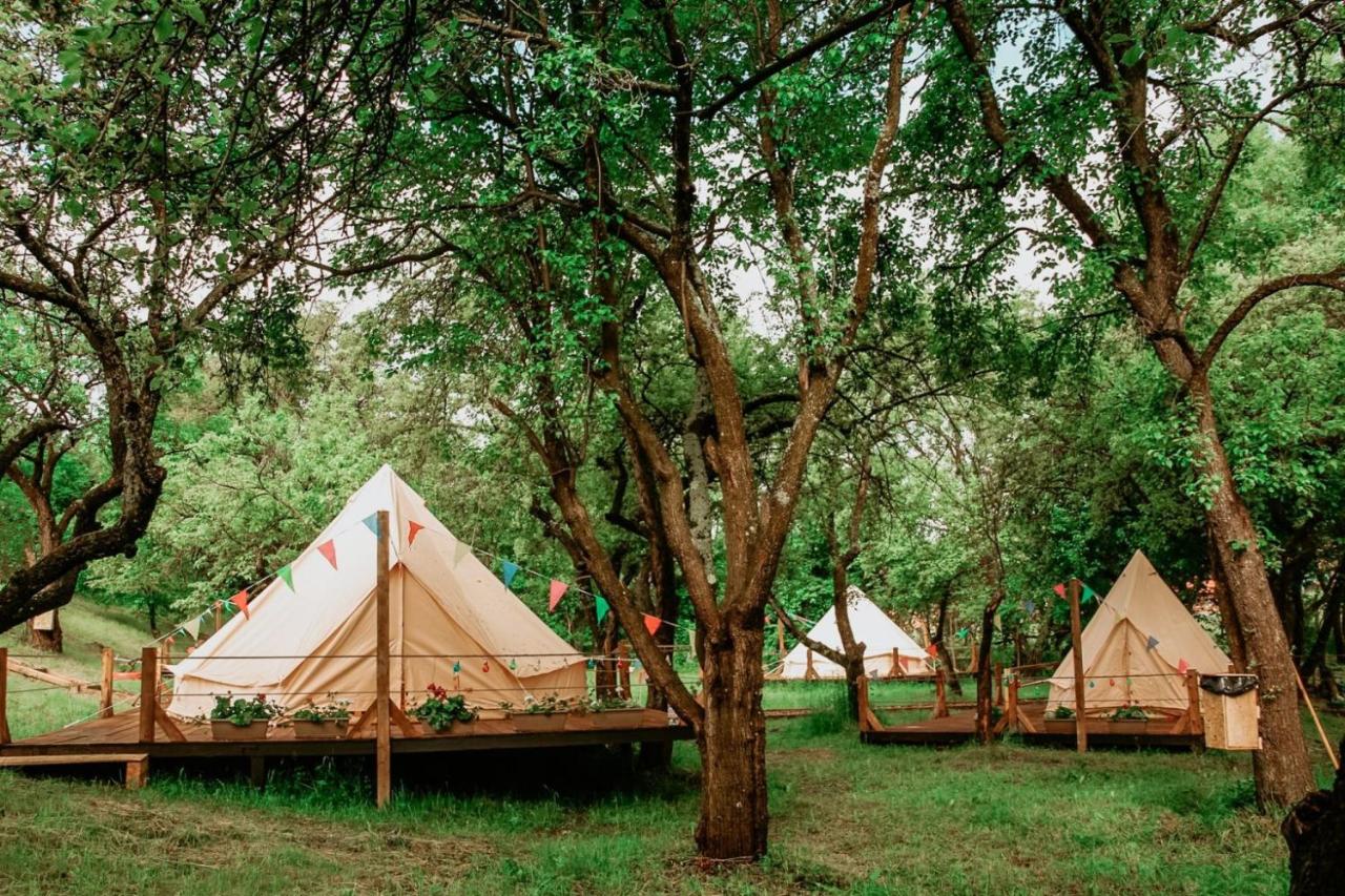 My Lake Glamping - Romania