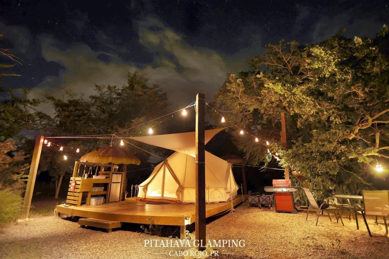 Pitahaya Glamping Eco-Retreat - Puerto Rico