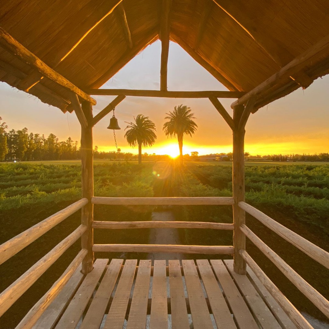 Puesto Visio Estancia - Argentina