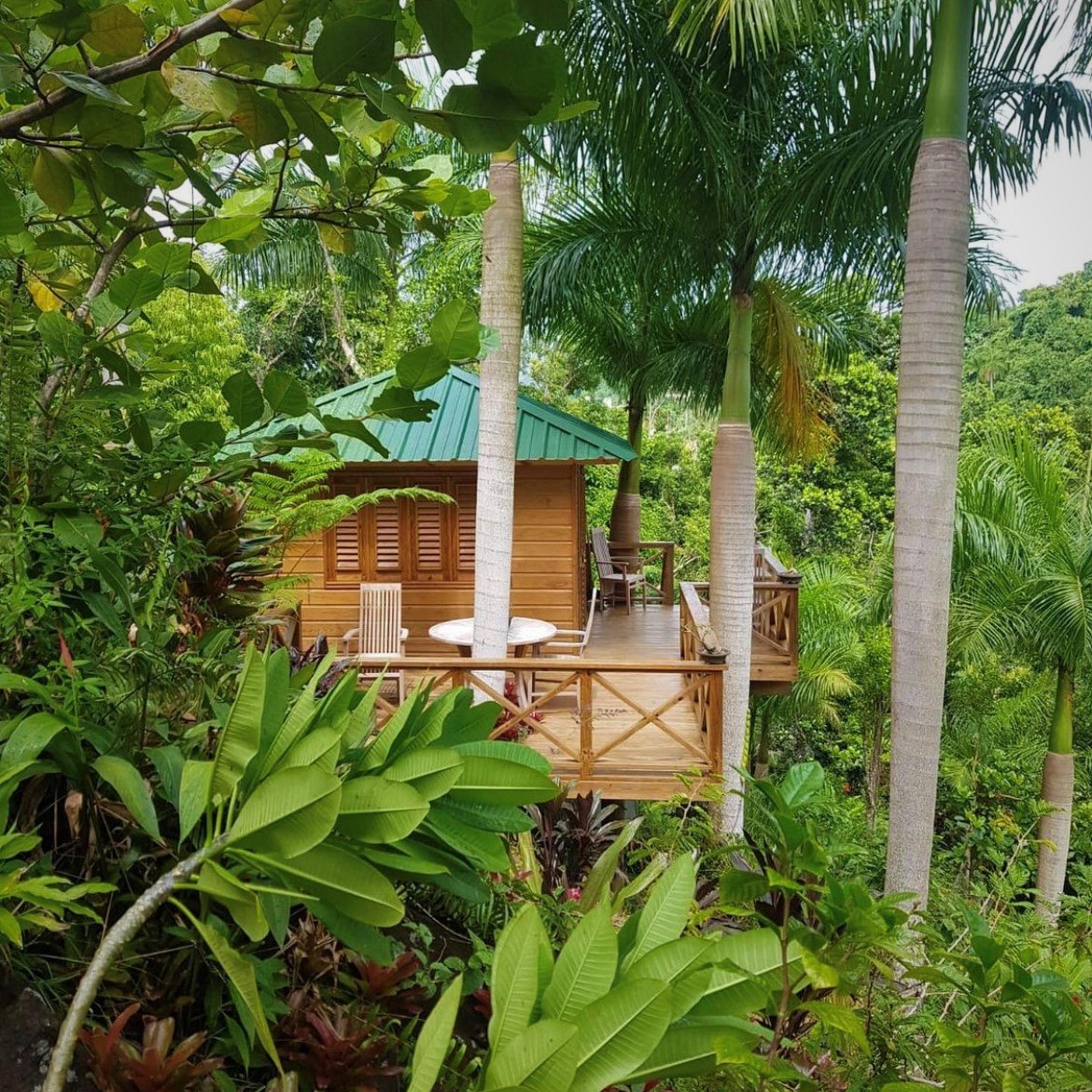 Yuquiyú Treehouses - Puerto Rico